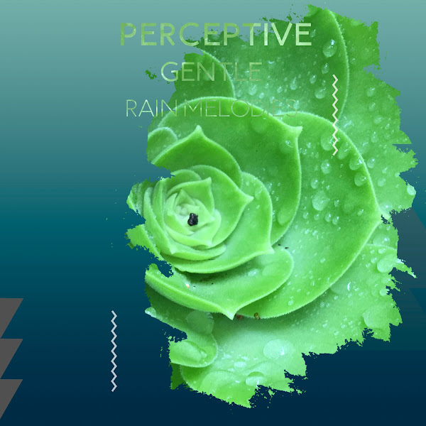 zZz Perceptive Gentle Rain Melodies zZz