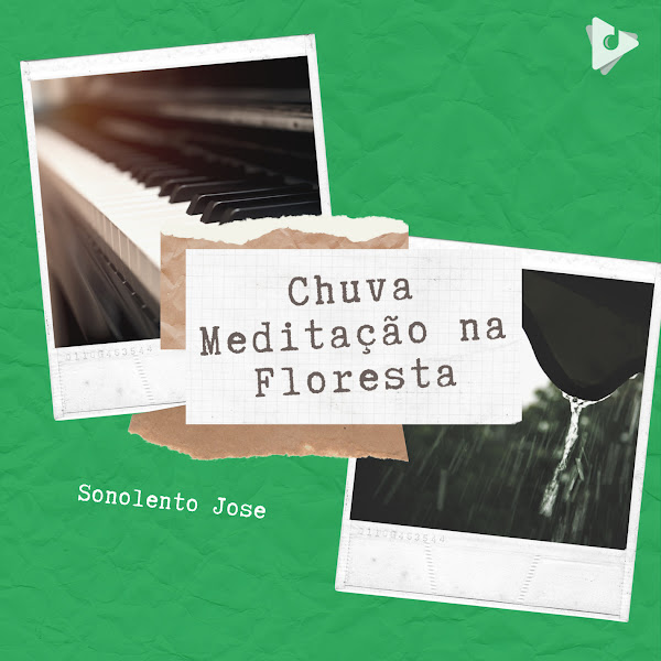Chuva Meditação na Floresta