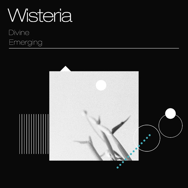 Wisteria Divine Emerging