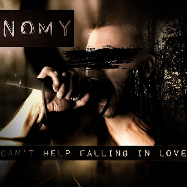 Can't help falling in love