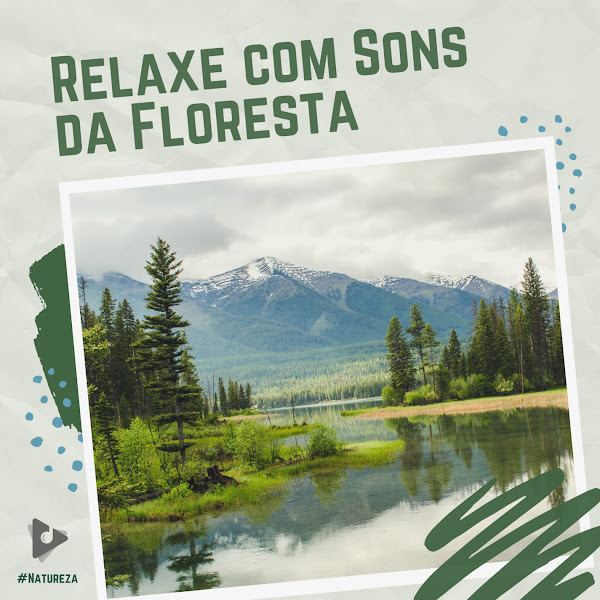 Relaxe com Sons da Floresta