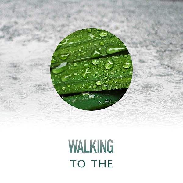 Walking to The Skies