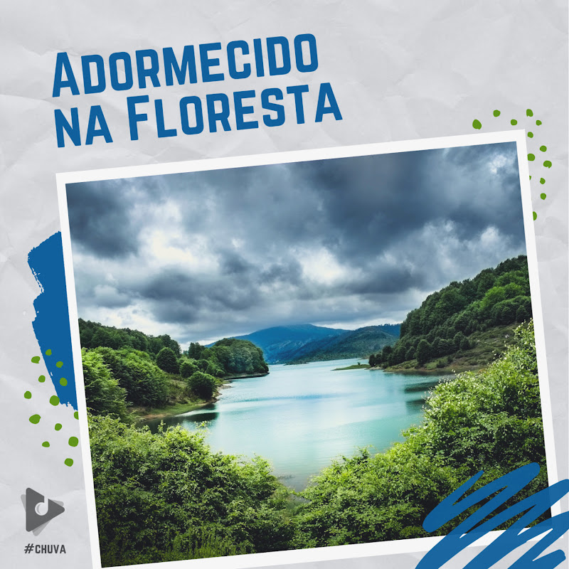Adormecido na Floresta