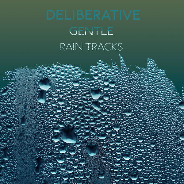 zZz Deliberative Gentle Rain Tracks zZz