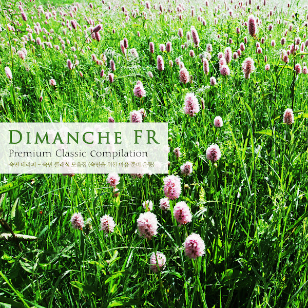 숙면 클래식 모음집 (숙면을 위한 마음 준비 운동) Sleeping Classics Collection (Preparing For The Heart For Sleep)