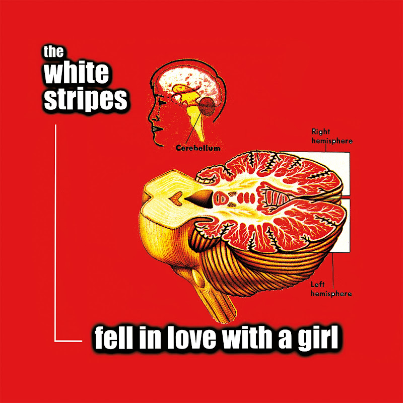 Fell In Love With A Girl