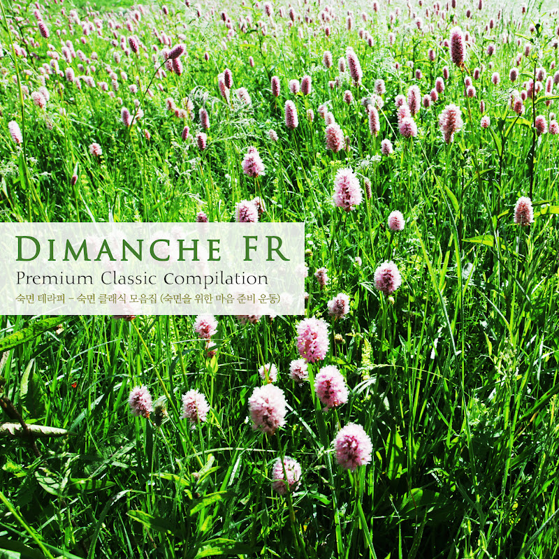 숙면 클래식 모음집 (숙면을 위한 마음 준비 운동) Sleeping Classics Collection (Preparing For The Heart For Sleep)