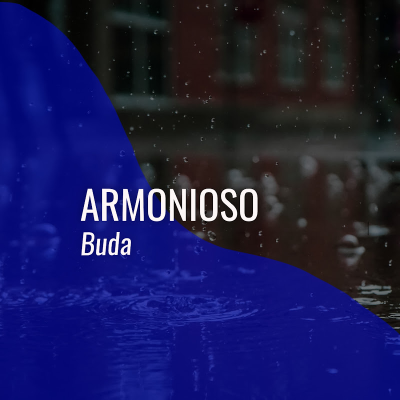# 1 Album: Armonioso Buda