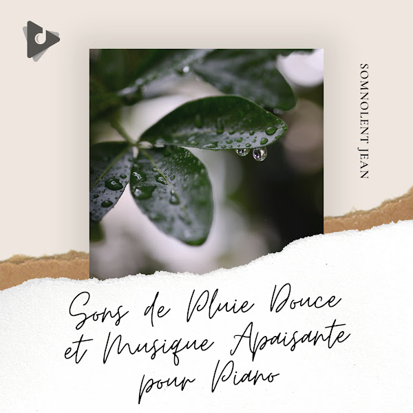 Sons de Pluie Douce et Musique Apaisante pour Piano