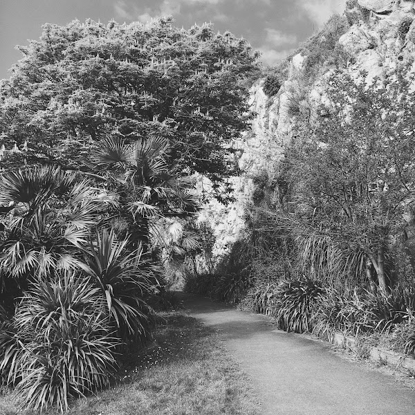 Peaceful Duduk and Cello - Ambiance for Calming Moments