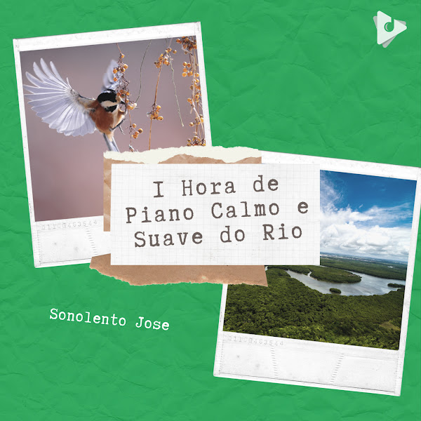 1 Hora de Piano Calmo e Suave do Rio