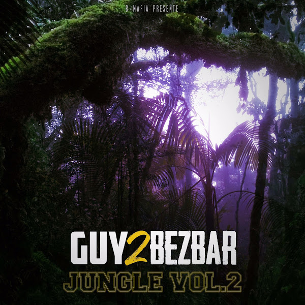 Jungle vol 2