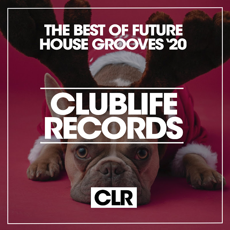 The Best of Future House Grooves '20