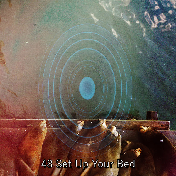 48 Set Up Your Bed