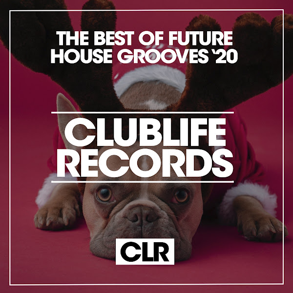 The Best of Future House Grooves '20