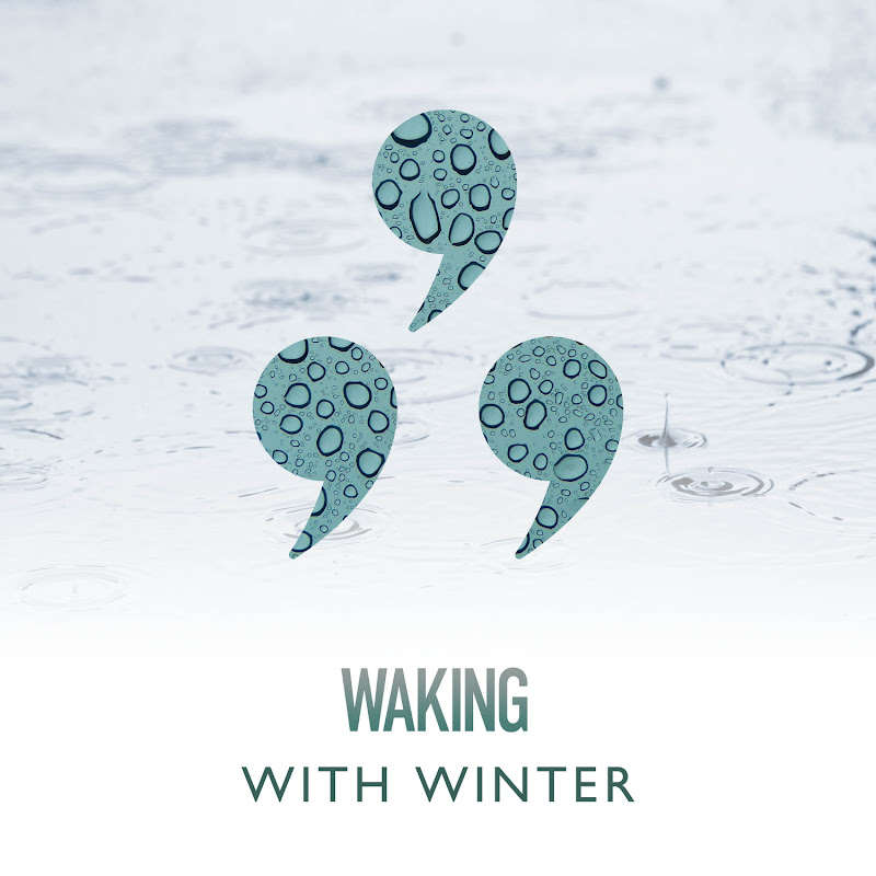 Waking With Winter Rain