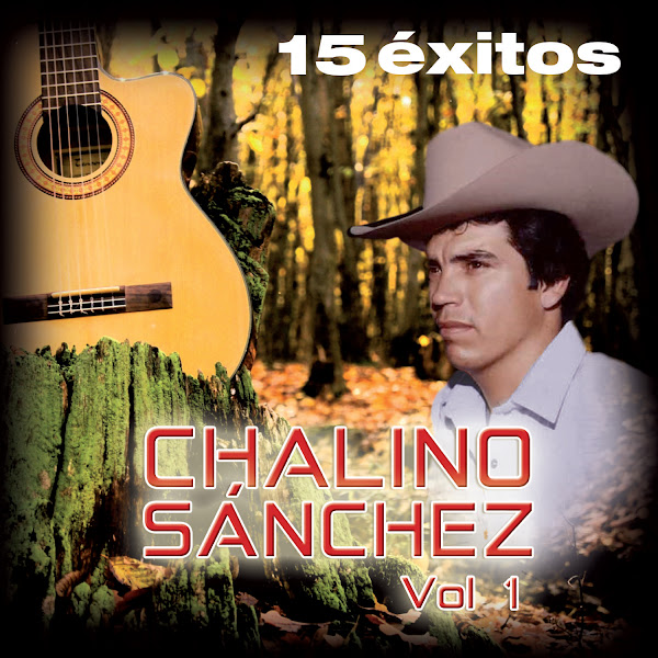 15 Exitos Vol. 1