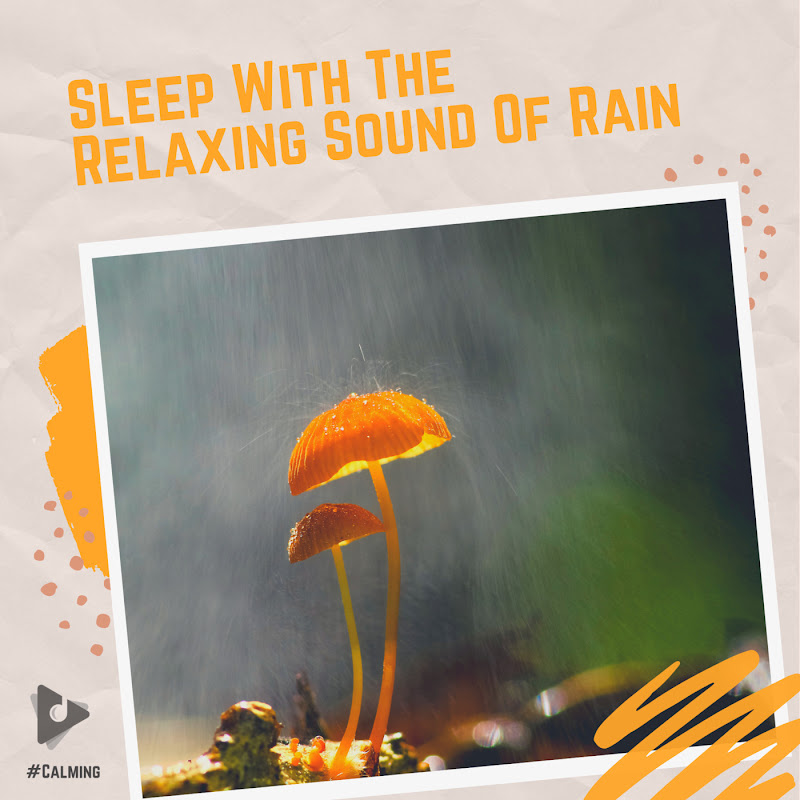 Sleep With The Relaxing Sound Of Rain