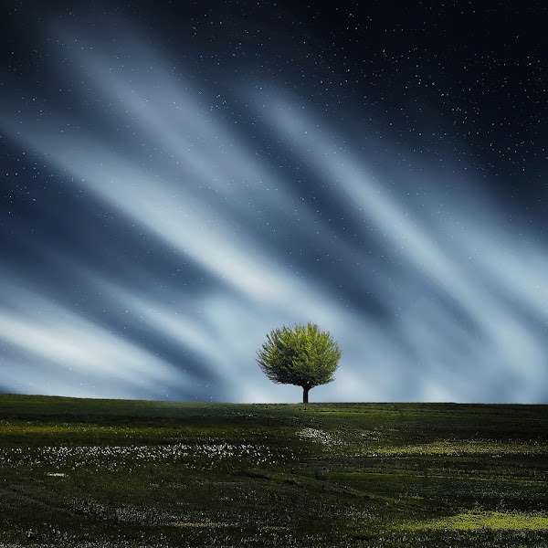 Spring & Summer 2019 Nature's Lullaby to Lull You to Sleep