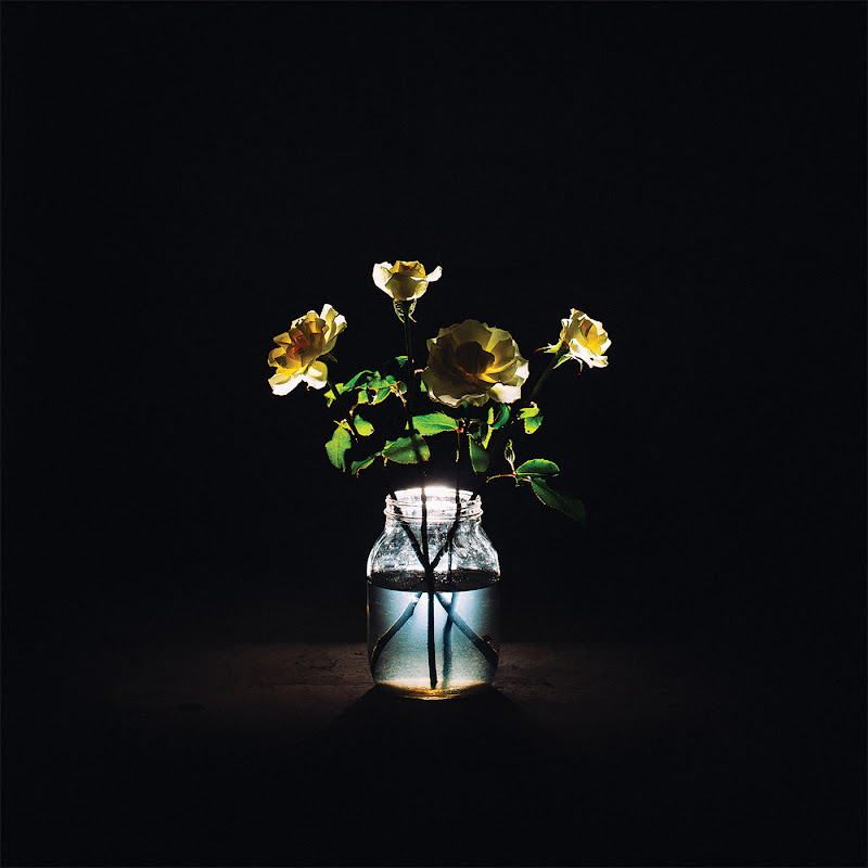 In The Morning Light