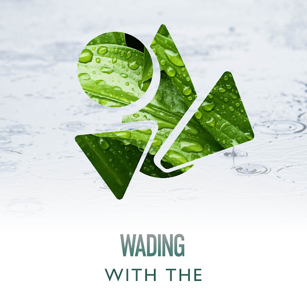 Wading With The Planet