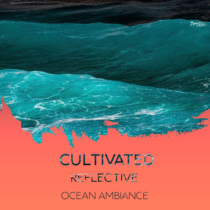 zZz Cultivated Reflective Ocean Ambiance zZz
