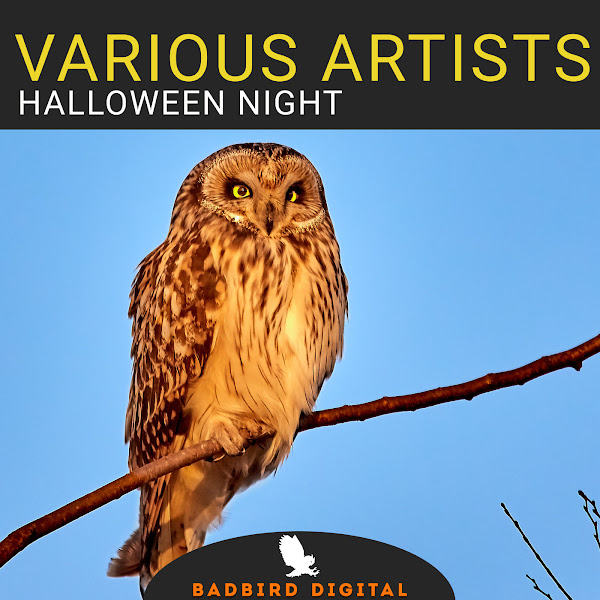 Halloween Night