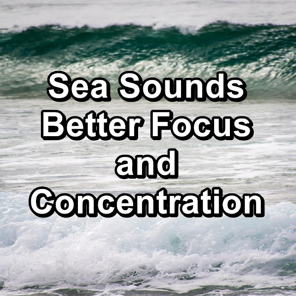 Sea Sounds Better Focus and Concentration