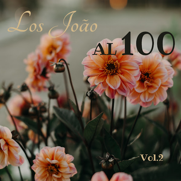 Los Joao al 100, Vol. 2
