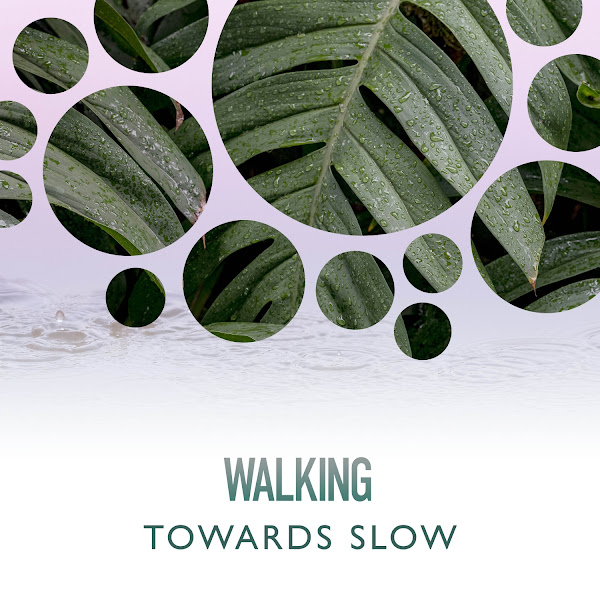 Walking Towards Slow Rain