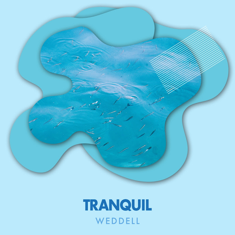 Tranquil Weddell Deep